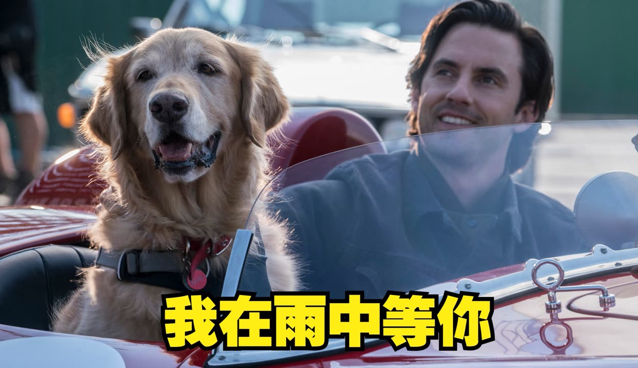 开云体育APP下载-赛车选手赛后落泪，背后故事感人